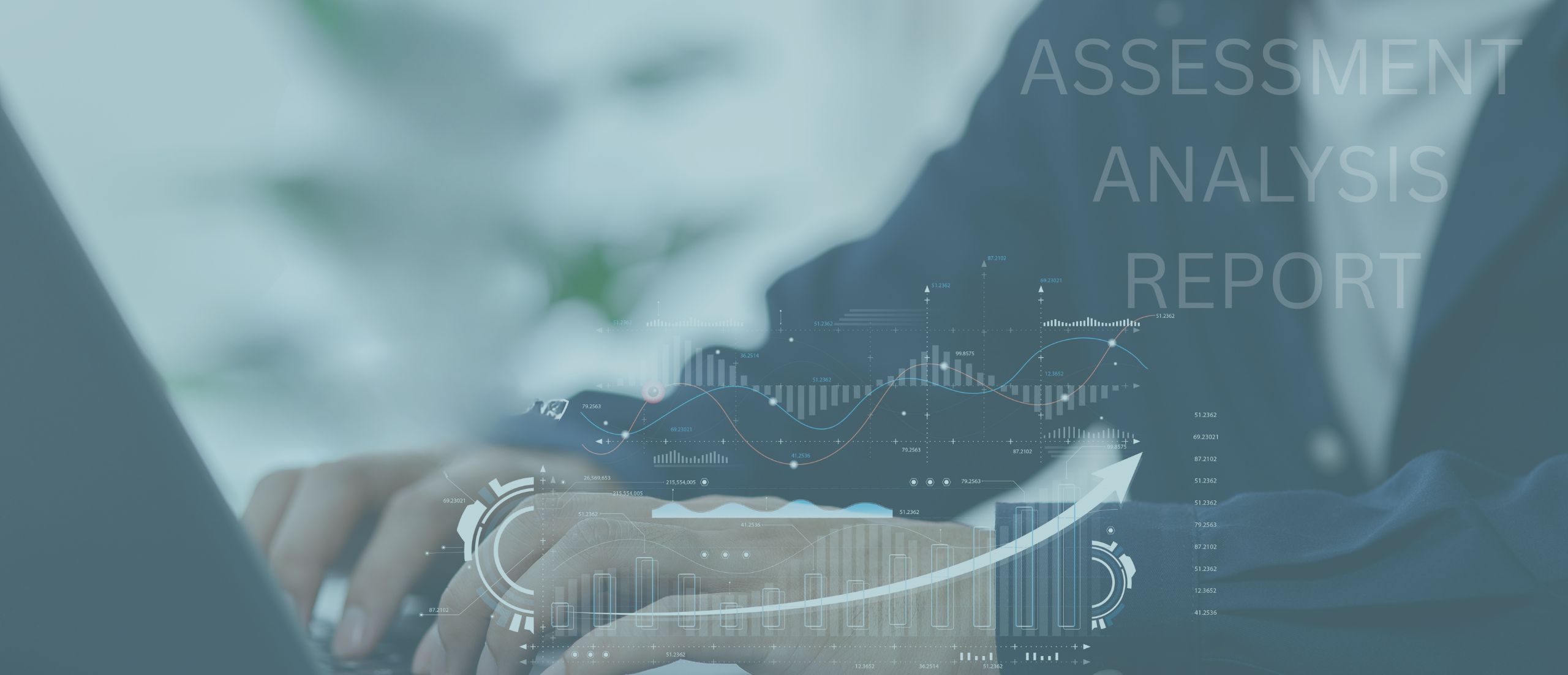 ASSESSMENT ANALYSIS REPORT